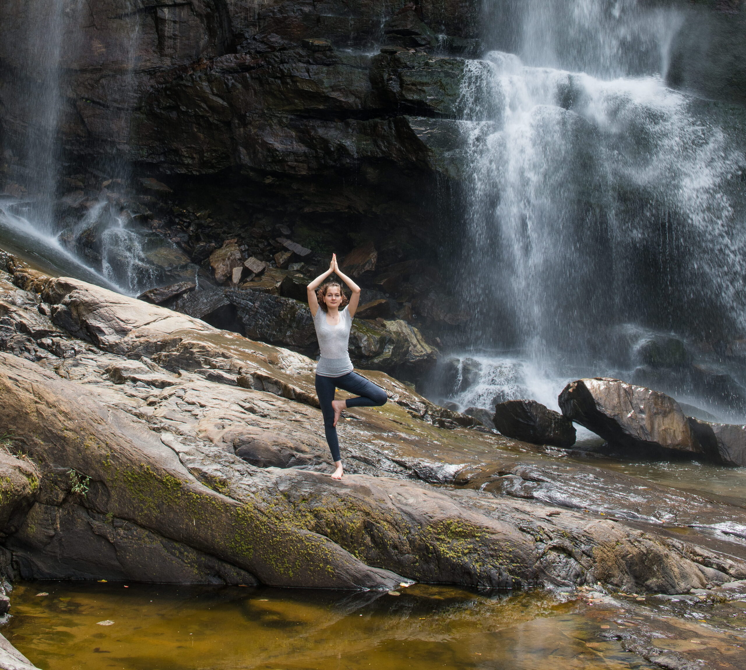 Rainforest Wellness & Rejuvenation