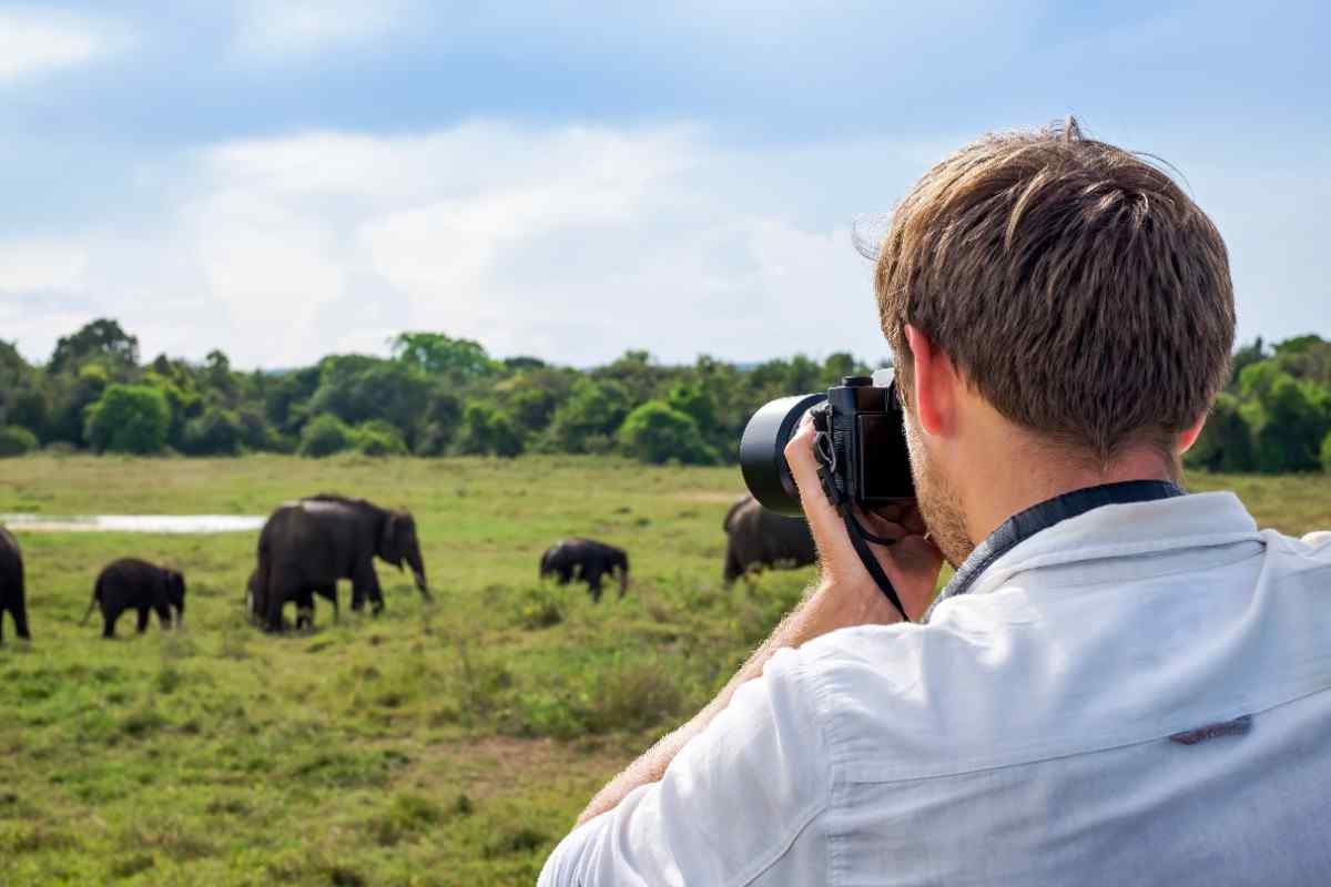 Sri Lanka Signature Explorer