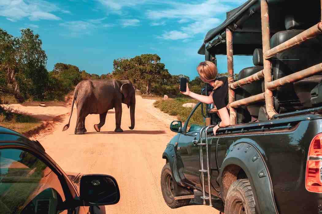 Eco-Adventures & Wilderness Trails (Luxury Edition)